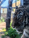 日立市かみね動物園に投稿された画像（2025/5/3）