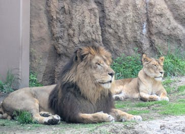 日立市かみね動物園に投稿された画像（2025/5/3）