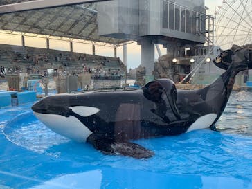名古屋港水族館に投稿された画像（2025/5/3）