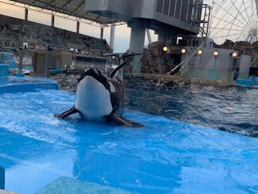 名古屋港水族館に投稿された画像（2025/5/3）