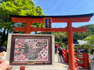 勝尾寺に投稿された画像（2025/5/3）