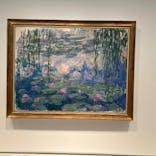 モネ　睡蓮のときに投稿された画像（2025/5/3）