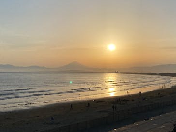 新江ノ島水族館に投稿された画像（2025/5/3）