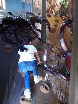 モビリティリゾートもてぎに投稿された画像（2025/5/3）