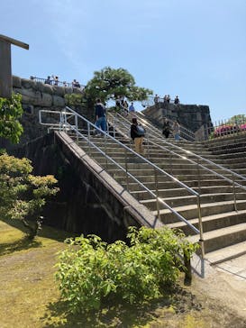 元離宮二条城に投稿された画像（2025/5/3）