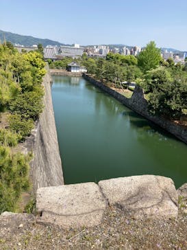 元離宮二条城に投稿された画像（2025/5/3）