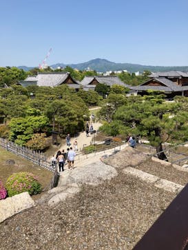 元離宮二条城に投稿された画像（2025/5/3）