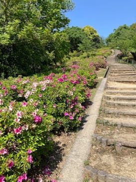 名古屋市東山動植物園に投稿された画像（2025/5/3）