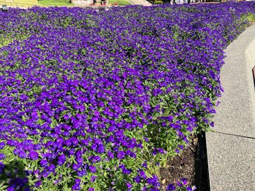 名古屋市東山動植物園に投稿された画像（2025/5/3）