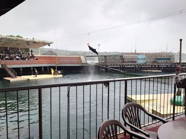 伊豆・三津シーパラダイスに投稿された画像（2025/5/3）