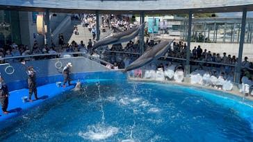 大分マリーンパレス水族館 「うみたまご」に投稿された画像（2025/5/3）
