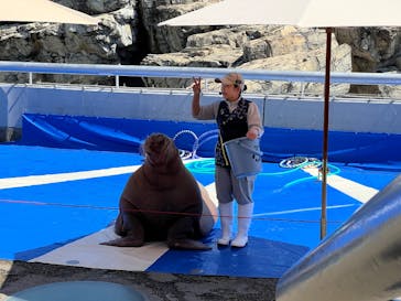 大分マリーンパレス水族館 「うみたまご」に投稿された画像（2025/5/3）