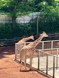 多摩動物公園に投稿された画像（2025/5/3）