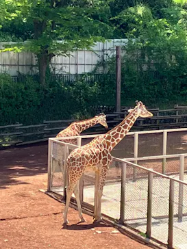 多摩動物公園に投稿された画像（2025/5/3）
