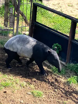多摩動物公園に投稿された画像（2025/5/3）