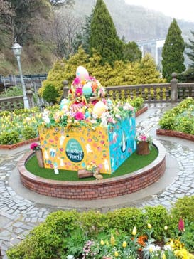 ACAO FORESTに投稿された画像（2025/5/3）