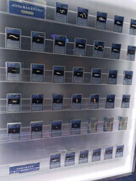 新江ノ島水族館に投稿された画像（2025/5/3）