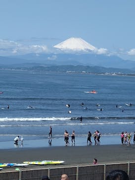 新江ノ島水族館に投稿された画像（2025/5/3）