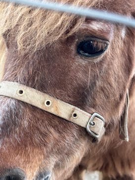 那須どうぶつ王国に投稿された画像（2025/5/3）