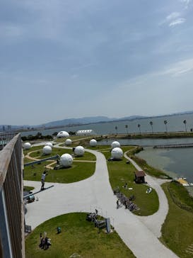 シー・ドラグーンに投稿された画像（2025/5/3）