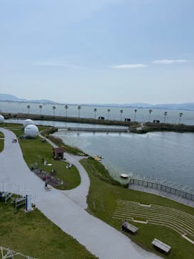 シー・ドラグーンに投稿された画像（2025/5/3）