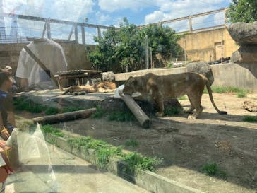 東武動物公園に投稿された画像（2025/5/3）