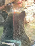 恩賜上野動物園に投稿された画像（2025/5/3）