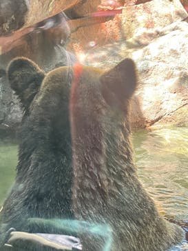恩賜上野動物園に投稿された画像（2025/5/3）