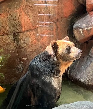 恩賜上野動物園に投稿された画像（2025/5/3）