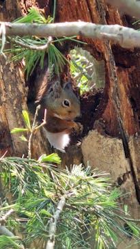 那須どうぶつ王国に投稿された画像（2025/5/3）