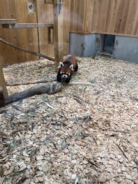 名古屋市東山動植物園に投稿された画像（2025/5/3）