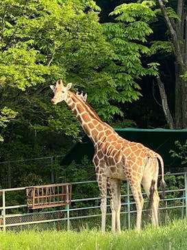 名古屋市東山動植物園に投稿された画像（2025/5/3）
