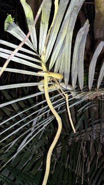 宮古島マリンショップSmileyに投稿された画像（2025/5/3）