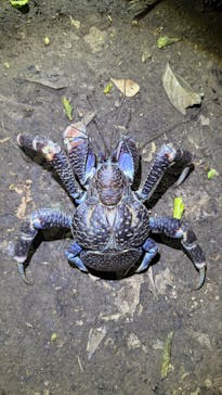 宮古島マリンショップSmileyに投稿された画像（2025/5/3）