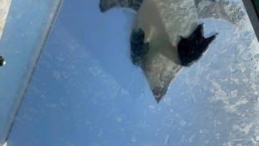 下田海中水族館に投稿された画像（2025/5/3）