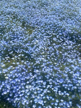 マリンワールド海の中道に投稿された画像（2025/5/3）