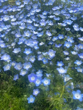 マリンワールド海の中道に投稿された画像（2025/5/3）