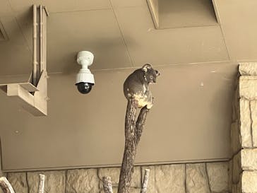 名古屋市東山動植物園に投稿された画像（2025/5/3）