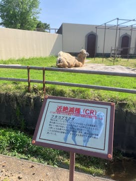 東武動物公園に投稿された画像（2025/5/3）
