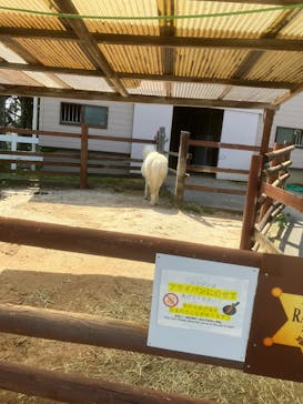 東武動物公園に投稿された画像（2025/5/3）