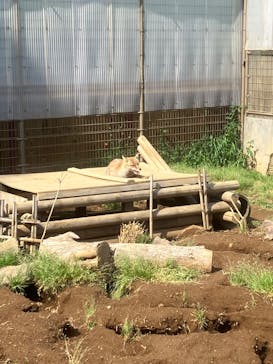 東武動物公園に投稿された画像（2025/5/3）