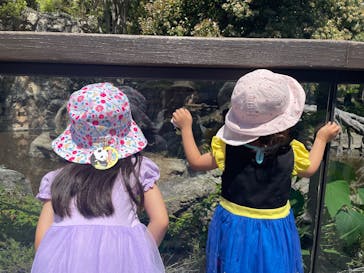 恩賜上野動物園に投稿された画像（2025/5/3）