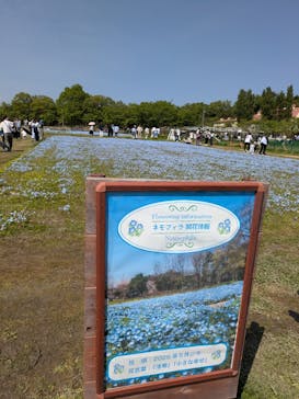 滋賀農業公園ブルーメの丘に投稿された画像（2025/5/3）