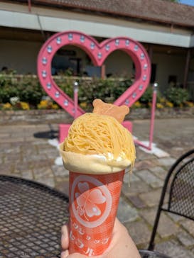 滋賀農業公園ブルーメの丘に投稿された画像（2025/5/3）