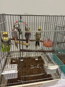 Pet博2025 幕張に投稿された画像（2025/5/3）