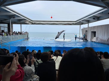上越市立水族博物館 うみがたりに投稿された画像（2025/5/3）