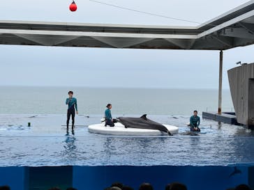 上越市立水族博物館 うみがたりに投稿された画像（2025/5/3）