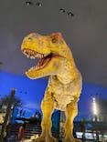 福井県立恐竜博物館に投稿された画像（2025/5/3）