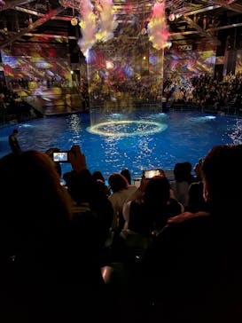 マクセル アクアパーク品川に投稿された画像（2025/5/3）