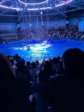 マクセル アクアパーク品川に投稿された画像（2025/5/3）